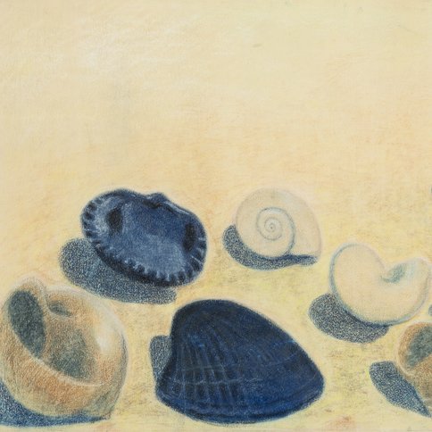 Léon Spilliaert - Les coquillages